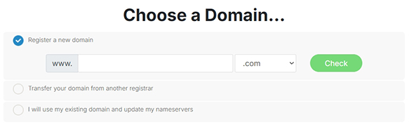 Domain Selection for Hosting